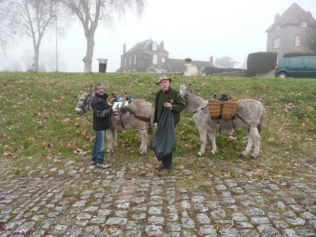 Loire Propre 2012 (8).jpg